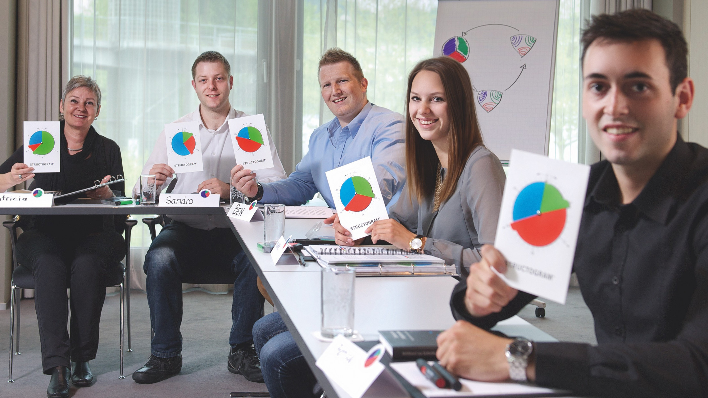 IBSA_Training_Radisson16zu9.png